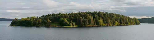 Изображение Сценическое плавание 2025