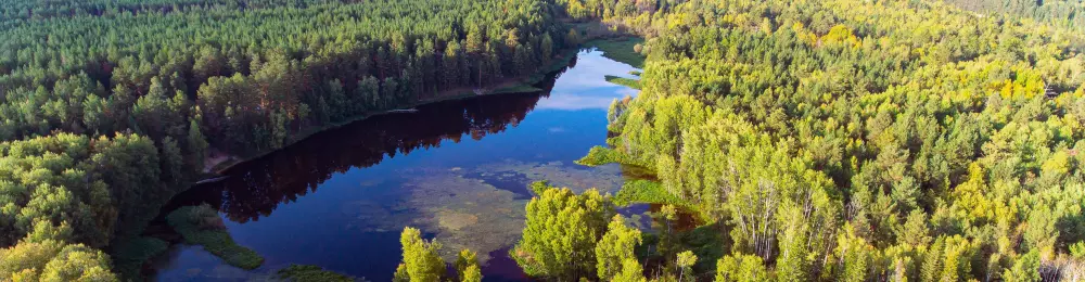Изображение круиза Енисейская экспедиция (экспресс)