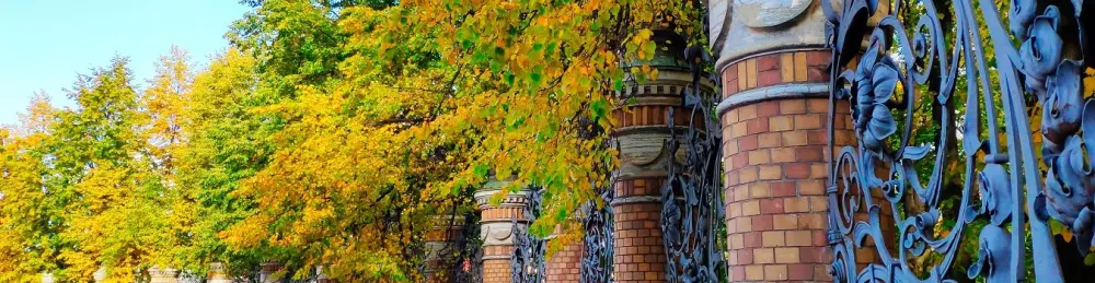 Изображение круиза Северная Венеция