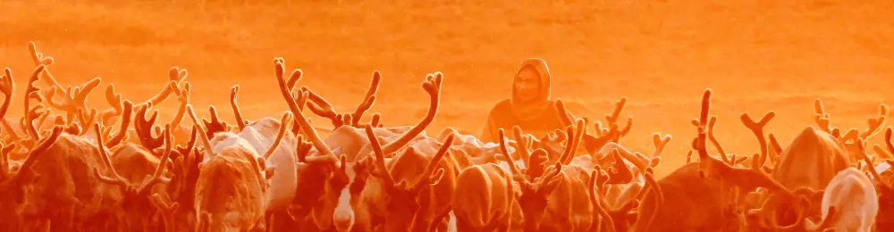 Изображение круиза Енисейская экспедиция