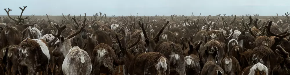 Изображение Енисейская экспедиция