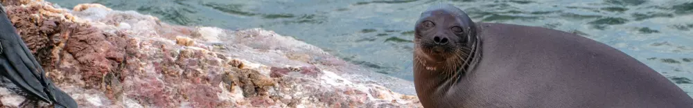 Изображение круиза Байкальская экспедиция