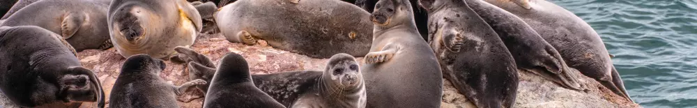 Изображение круиза Байкальская экспедиция