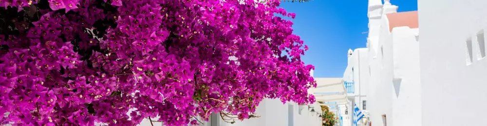 Изображение круиза Греческие острова (Для круиза требуется действующая многократная шенгенская виза) 