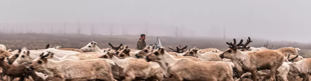 Изображение круиза Енисейская экспедиция